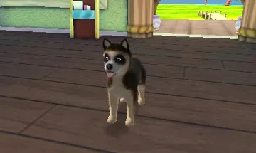 Pets Paradise Resort 3D (Europe) (En,Fr,Ge,It,Es,Nl) screen shot game playing